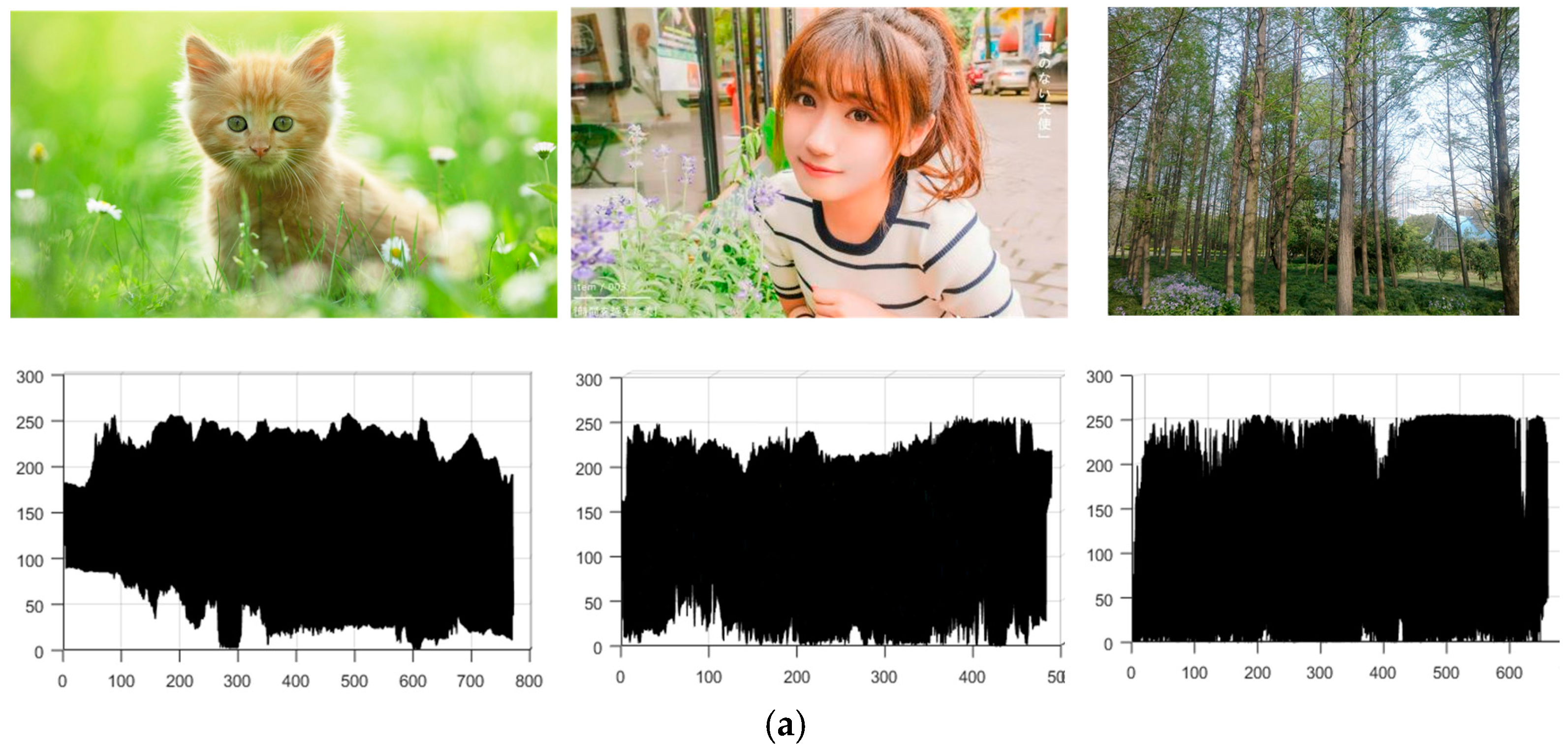 Information 08 00135 g001a