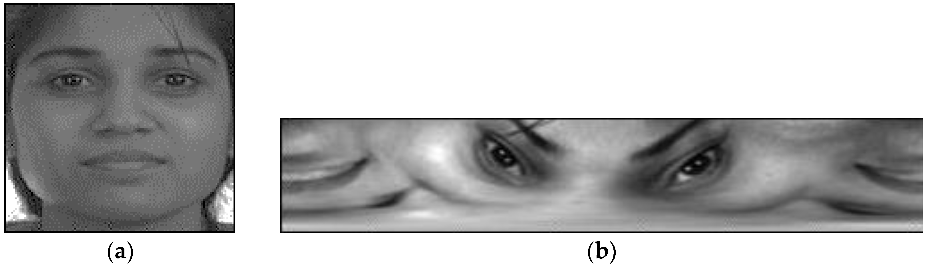 Information 08 00155 g001