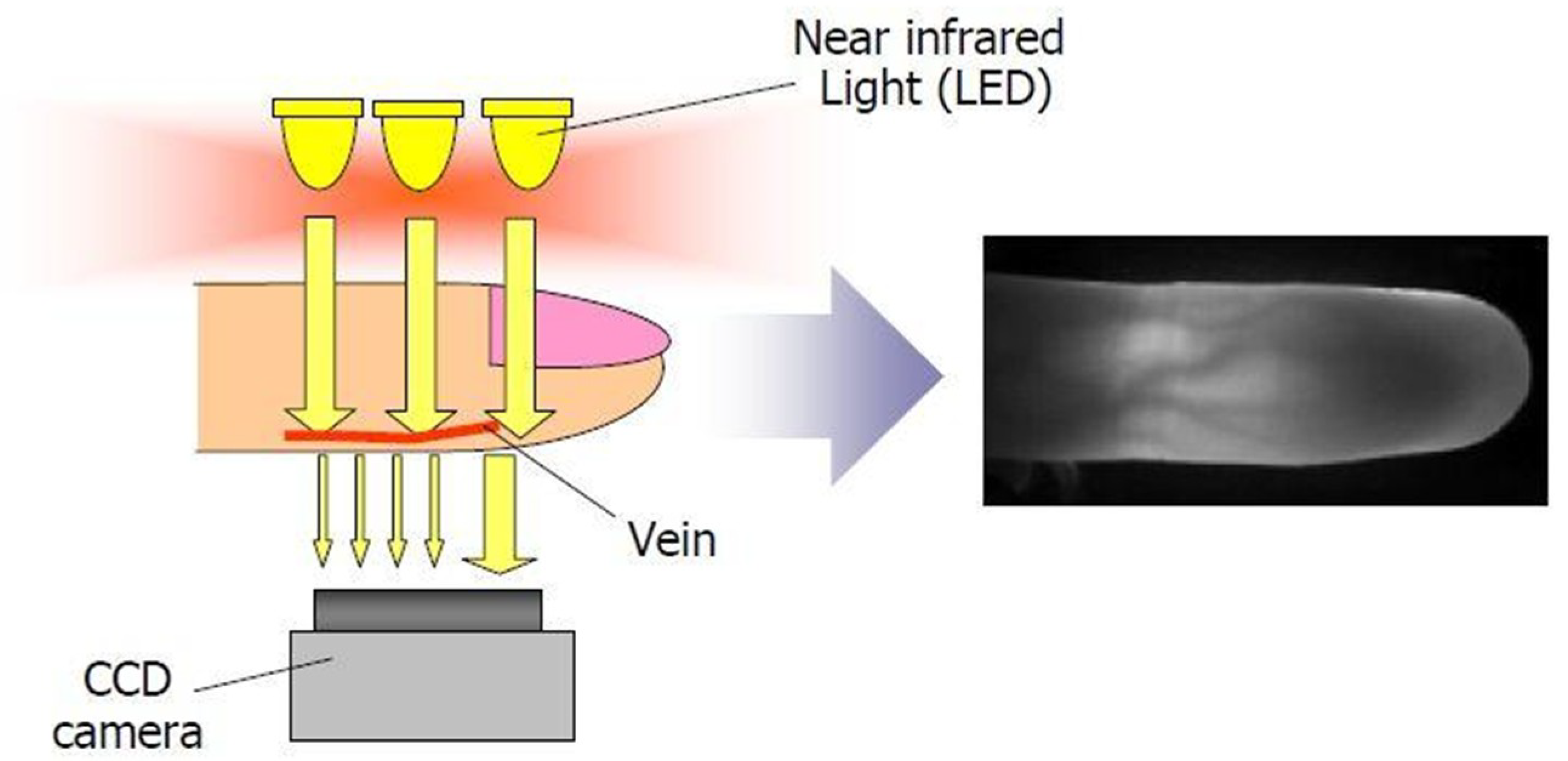 Information 09 00213 g003 Information 09 00213 g003