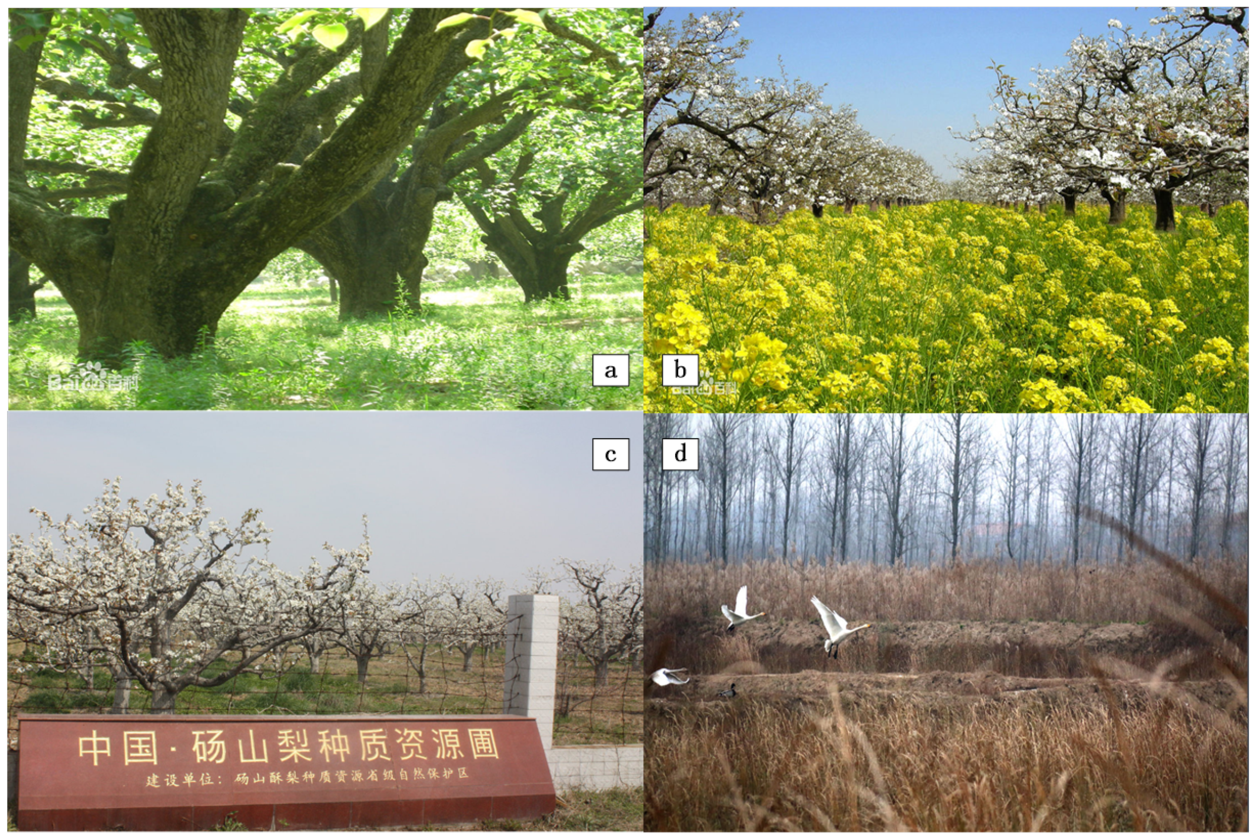 Information 09 00291 g001 550