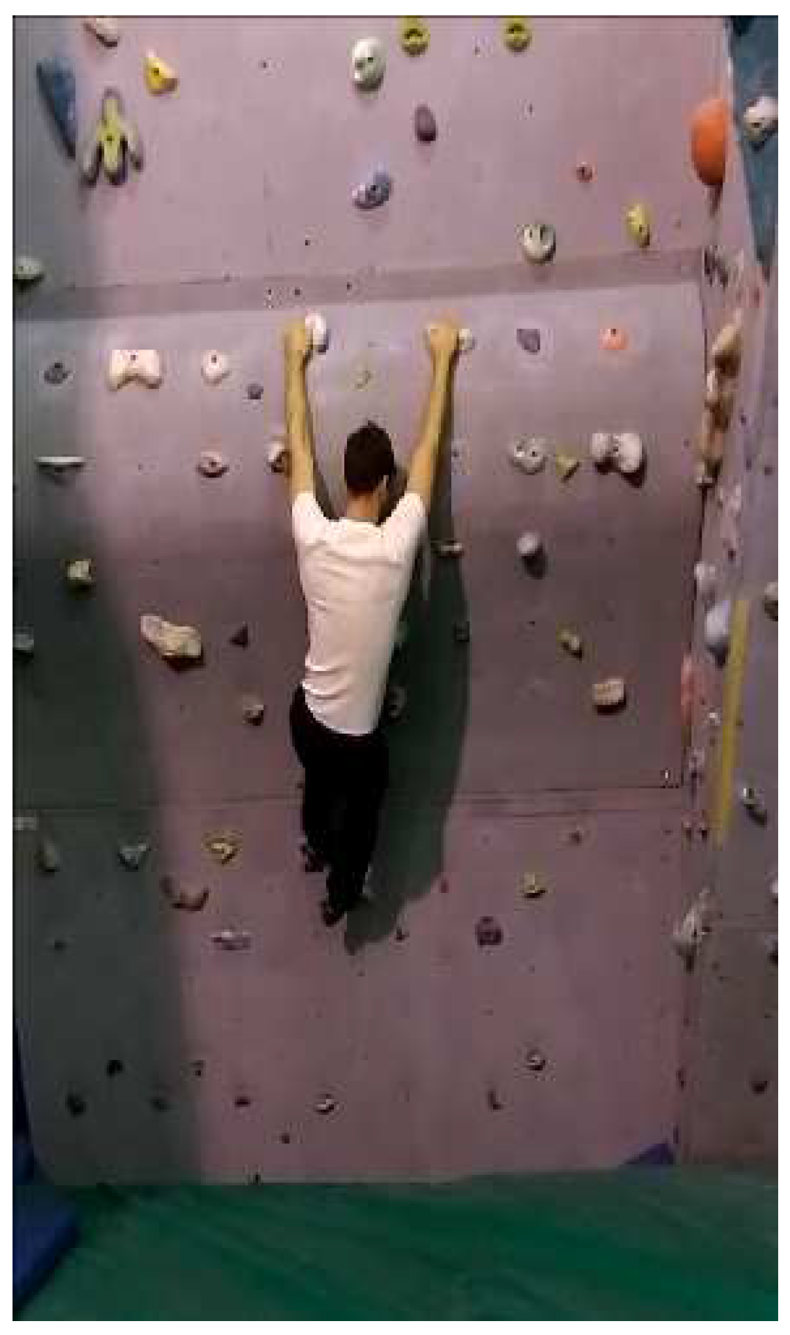 Information 09 00321 g001 Information 09 00321 g001