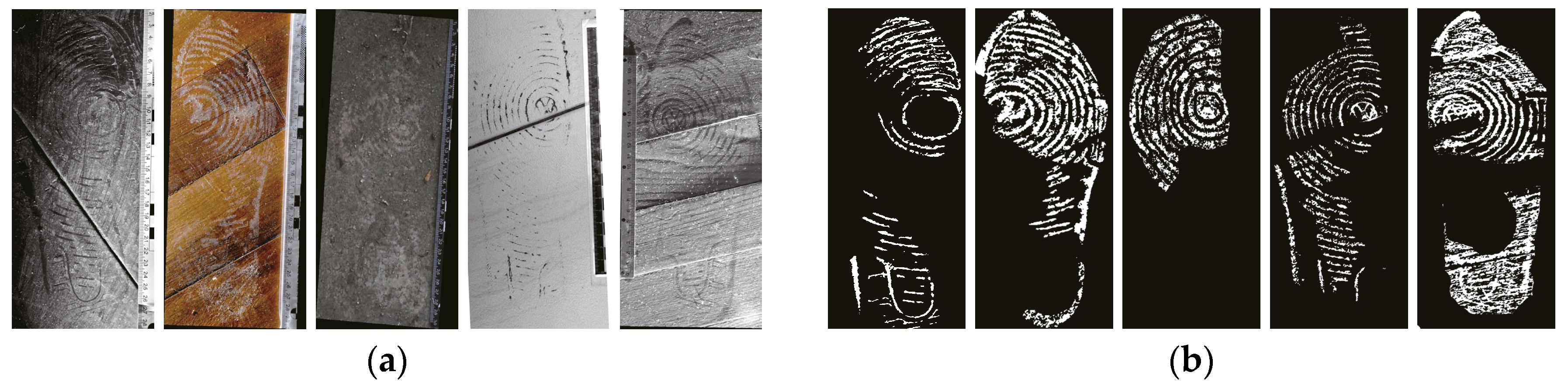 Information 10 00045 g003