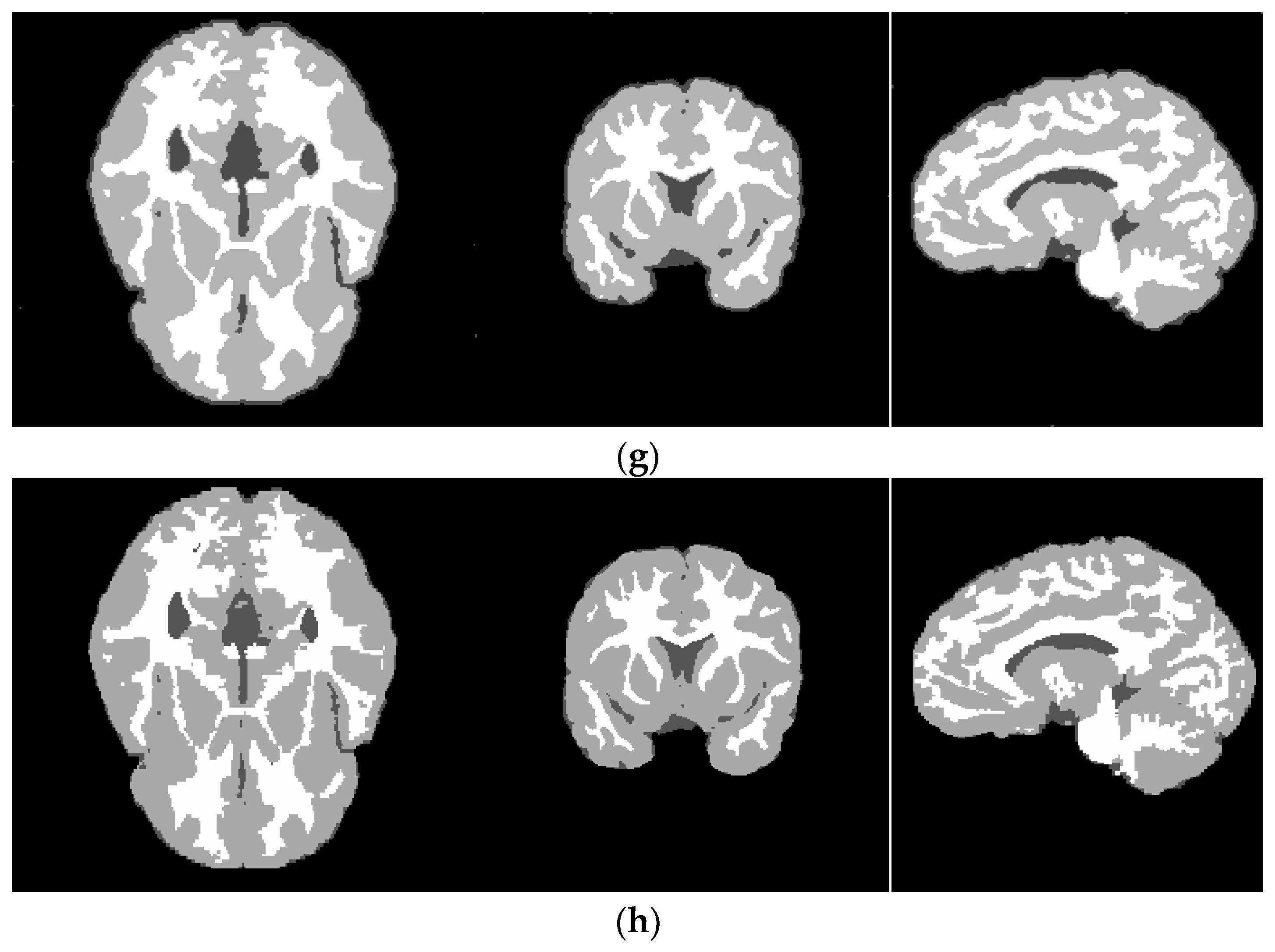 Information 10 00074 g007c