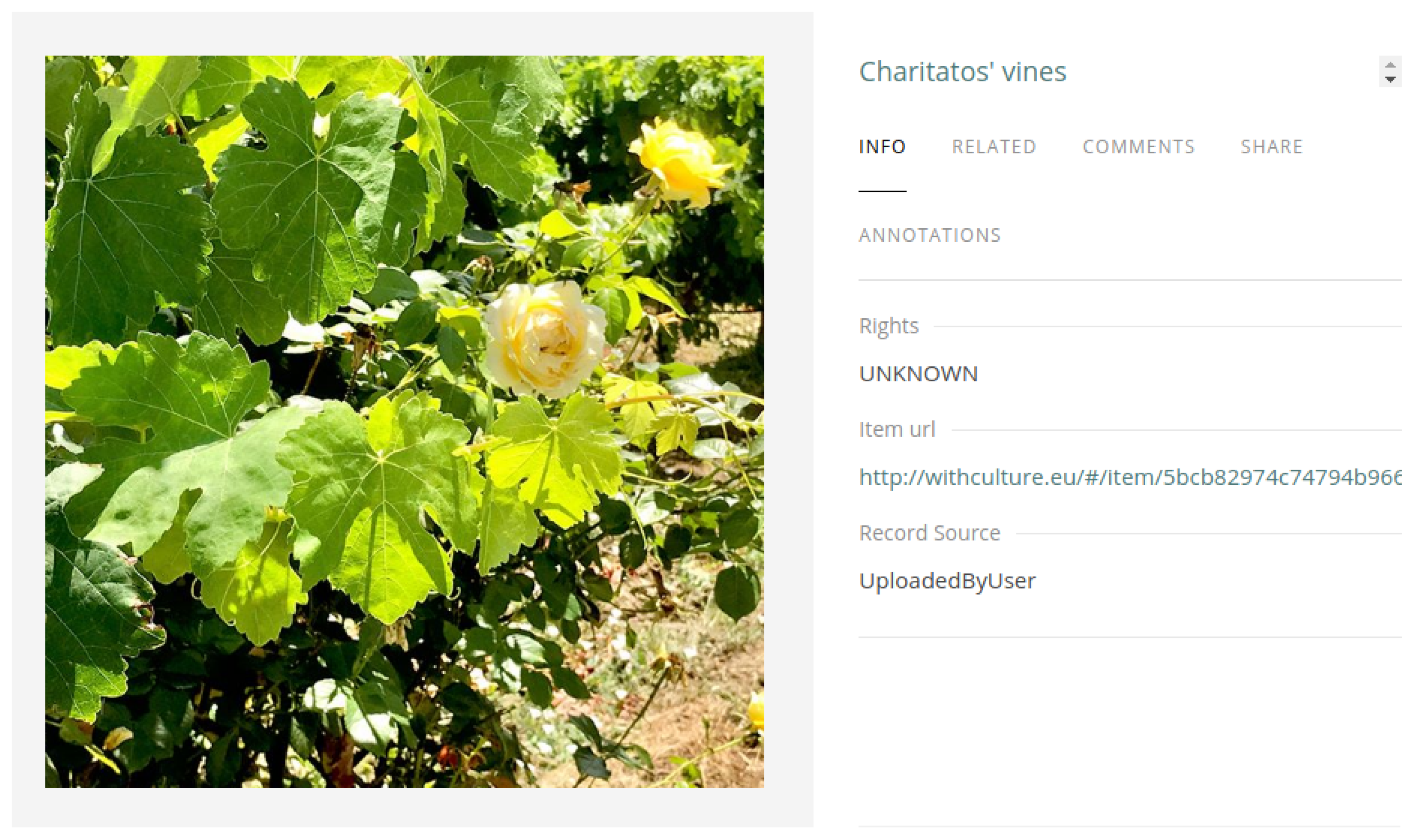 Information 10 00149 g006 Information 10 00149 g006