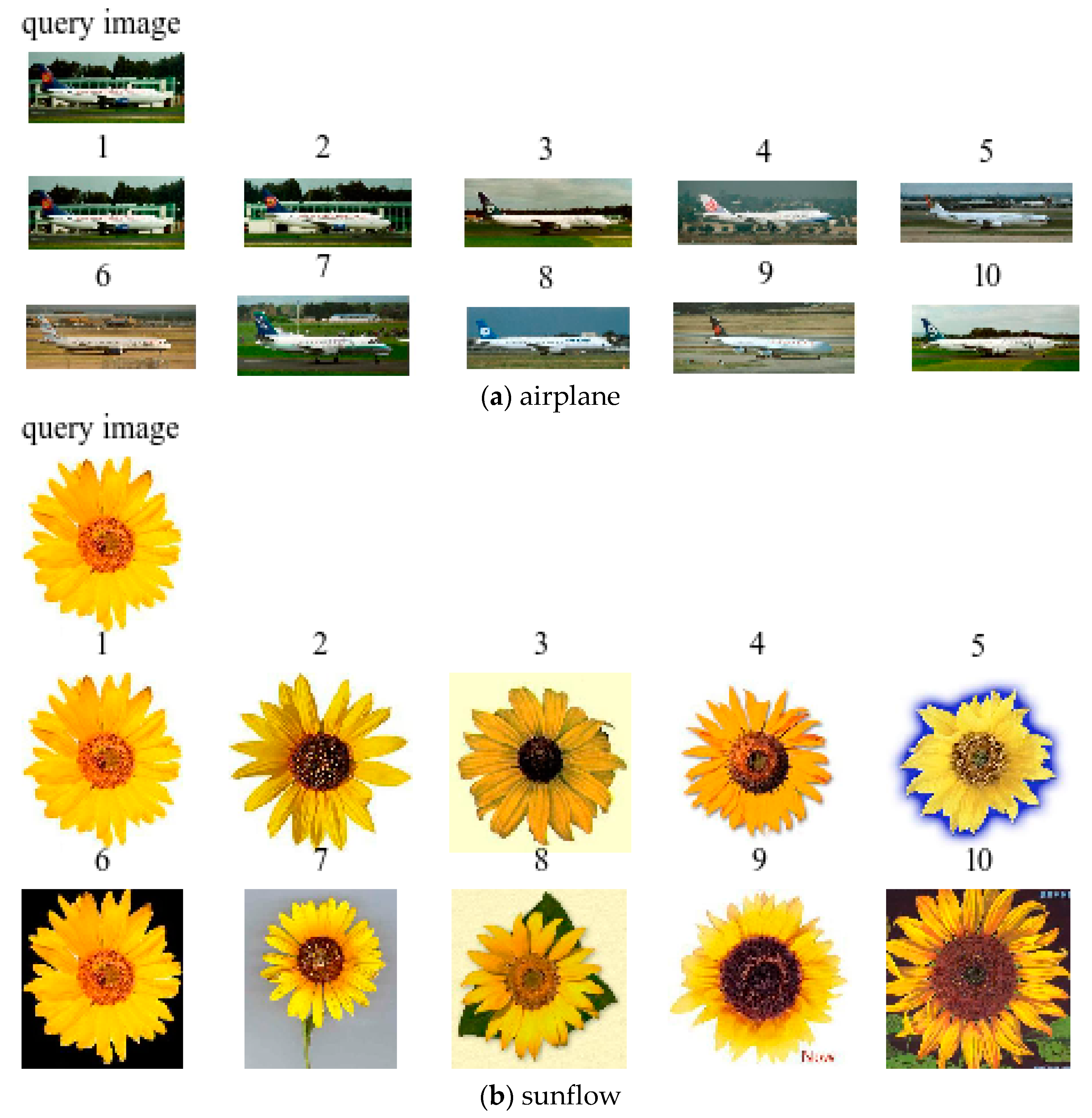 Information 10 00190 g013a