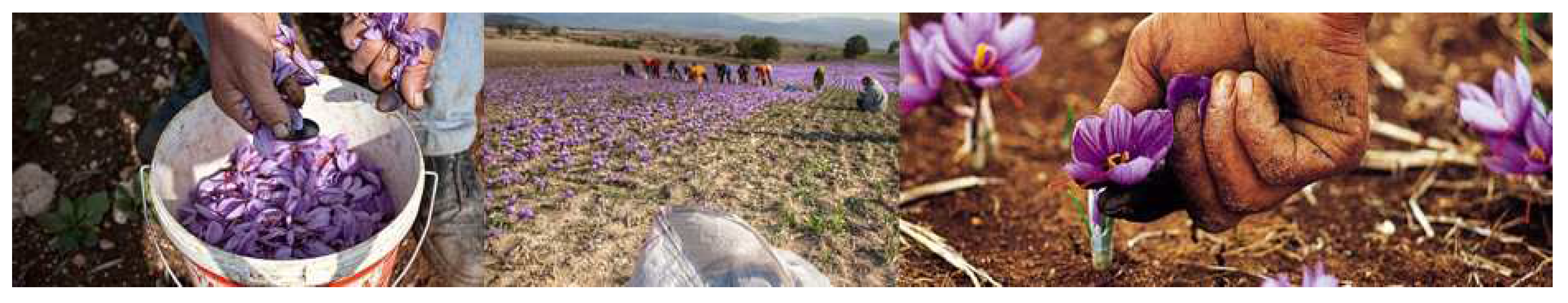 Information 10 00348 g002