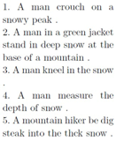 Information 10 00354 i002