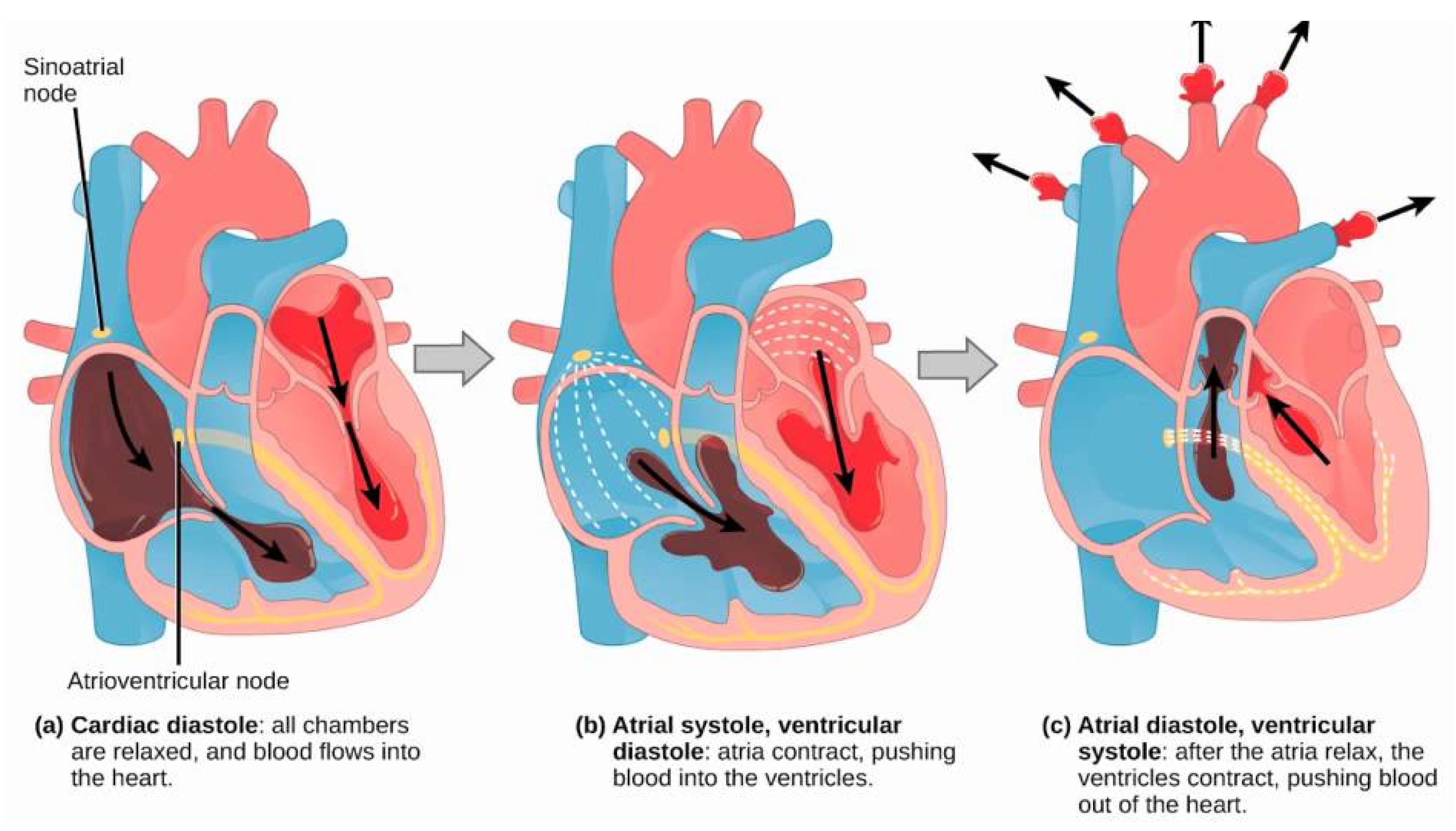 Information 11 00060 g002 Information 11 00060 g002