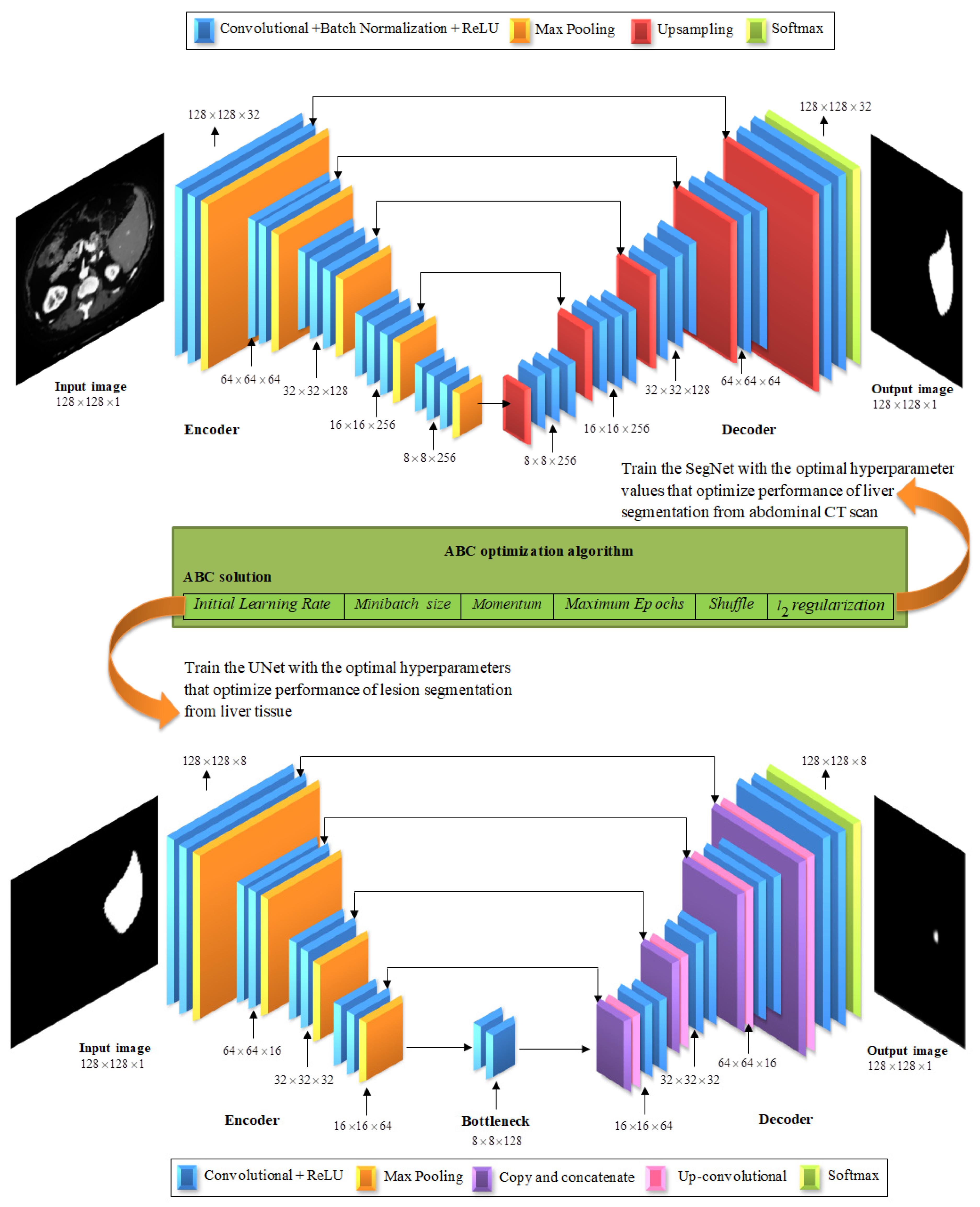 Learning how network structure shapes decision-making for bio-inspired computing
