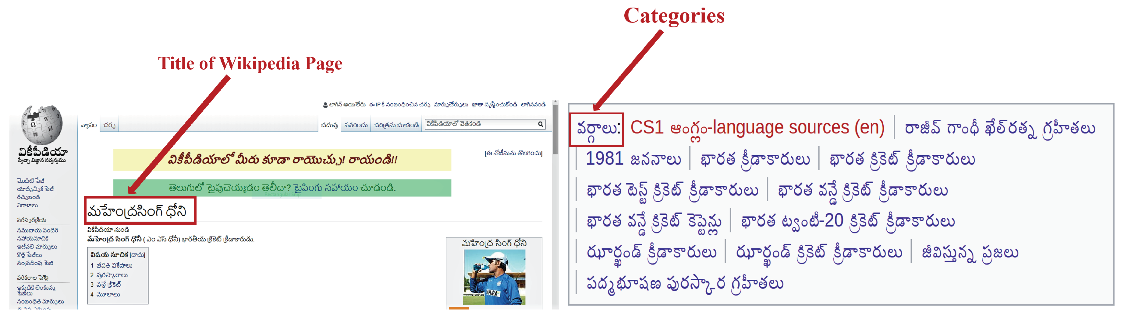 Meaning Of Robust In Telugu