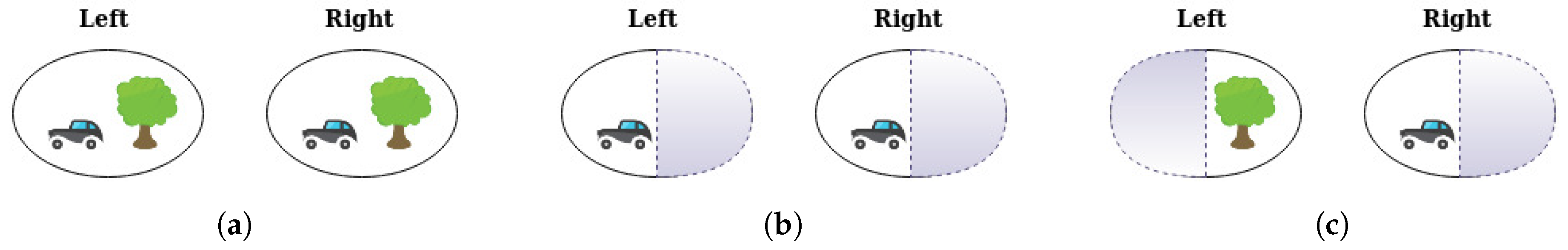 Information 11 00088 g001 Information 11 00088 g001