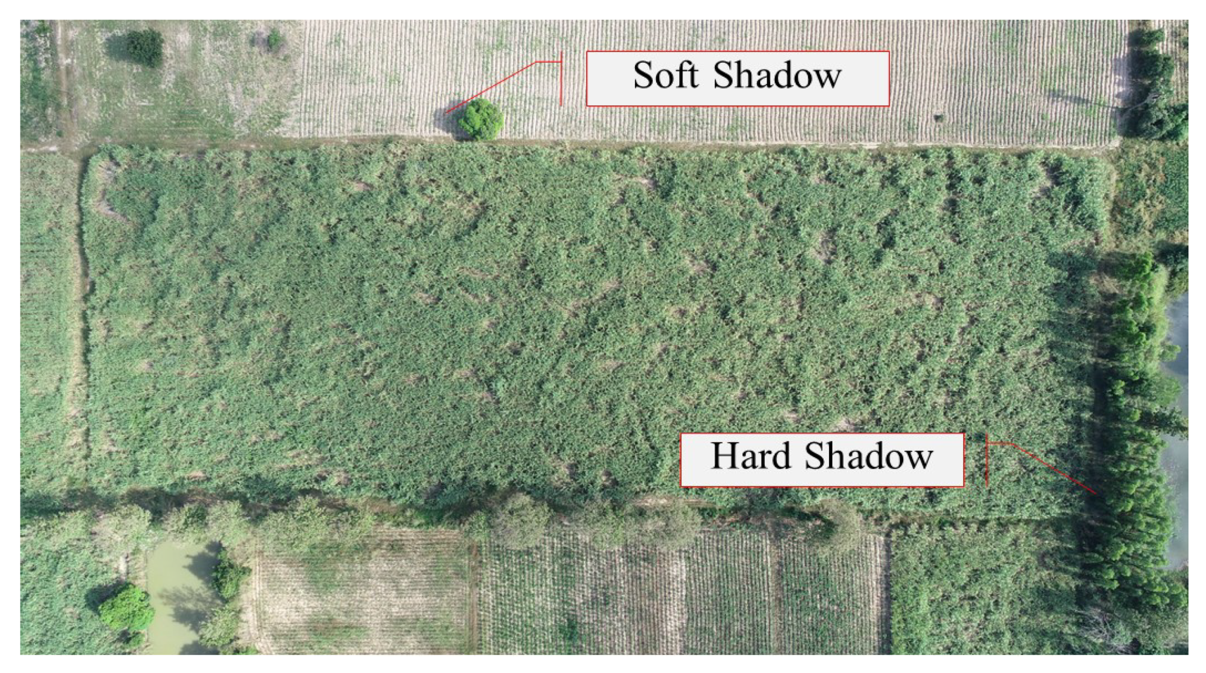 Information 11 00136 g004