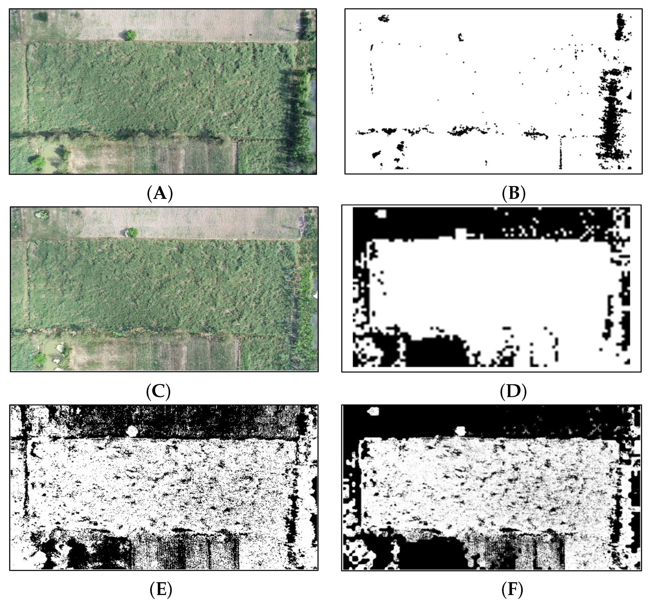 Information 11 00136 g016