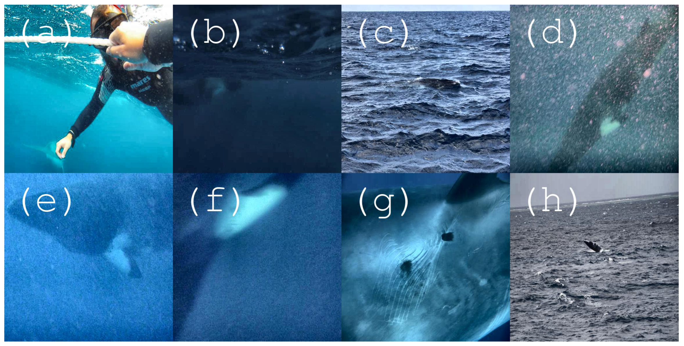 Information 11 00200 g002 Information 11 00200 g002