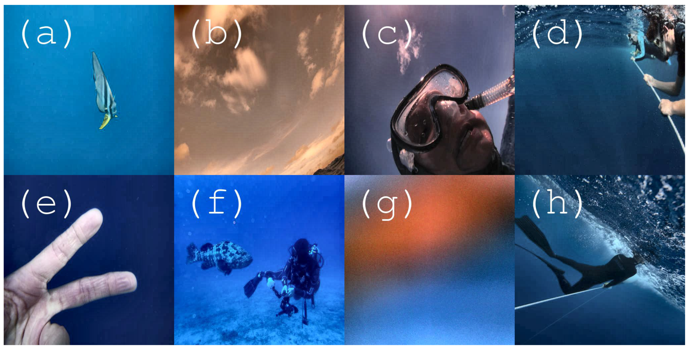 Information 11 00200 g003 Information 11 00200 g003