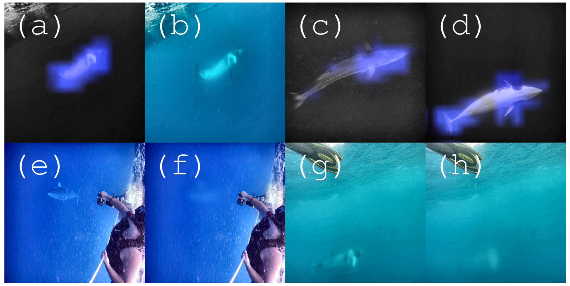 Information 11 00200 g004 Information 11 00200 g004