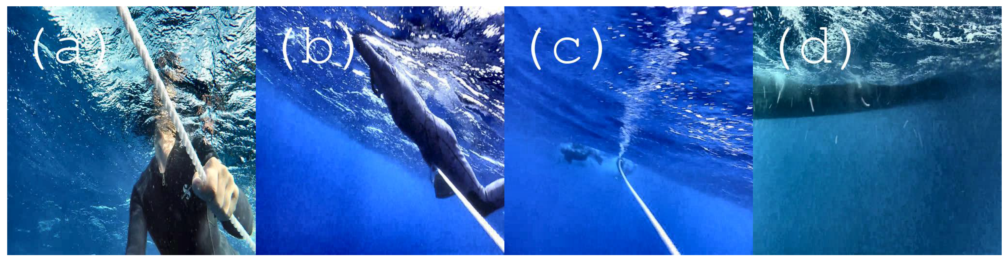 Information 11 00200 g005 Information 11 00200 g005