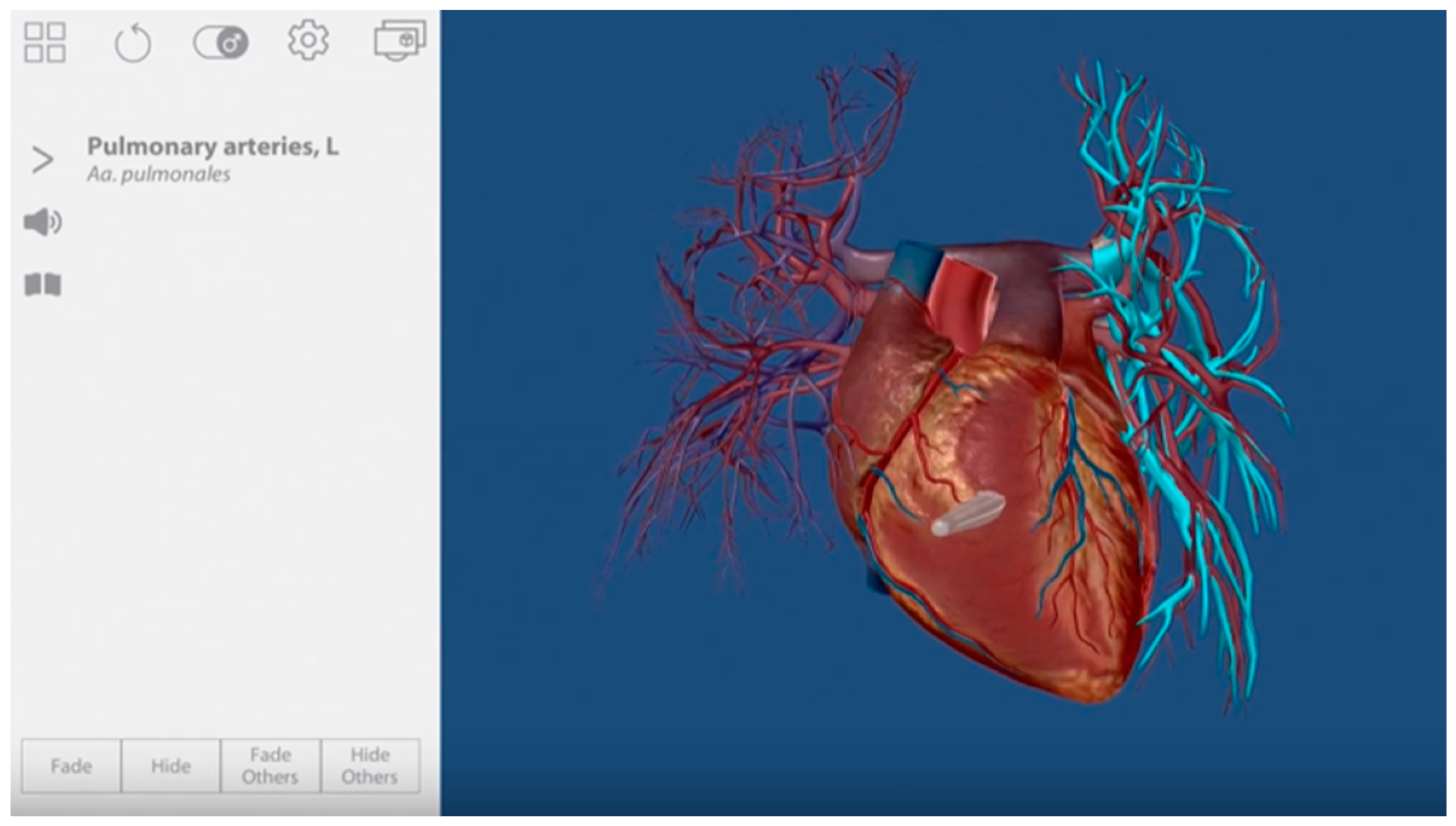 Information 11 00209 g003