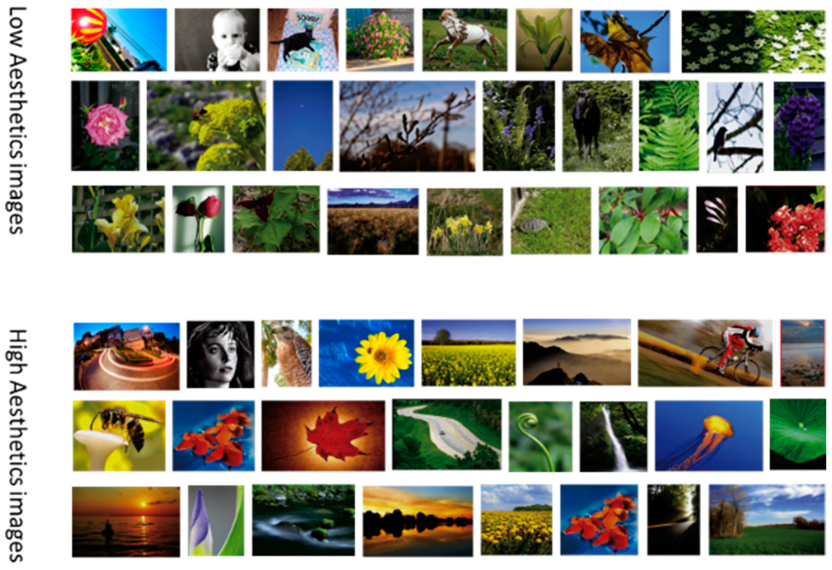 Information 11 00223 g003 Information 11 00223 g003