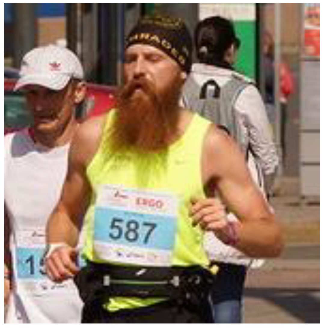 Information 11 00385 g001