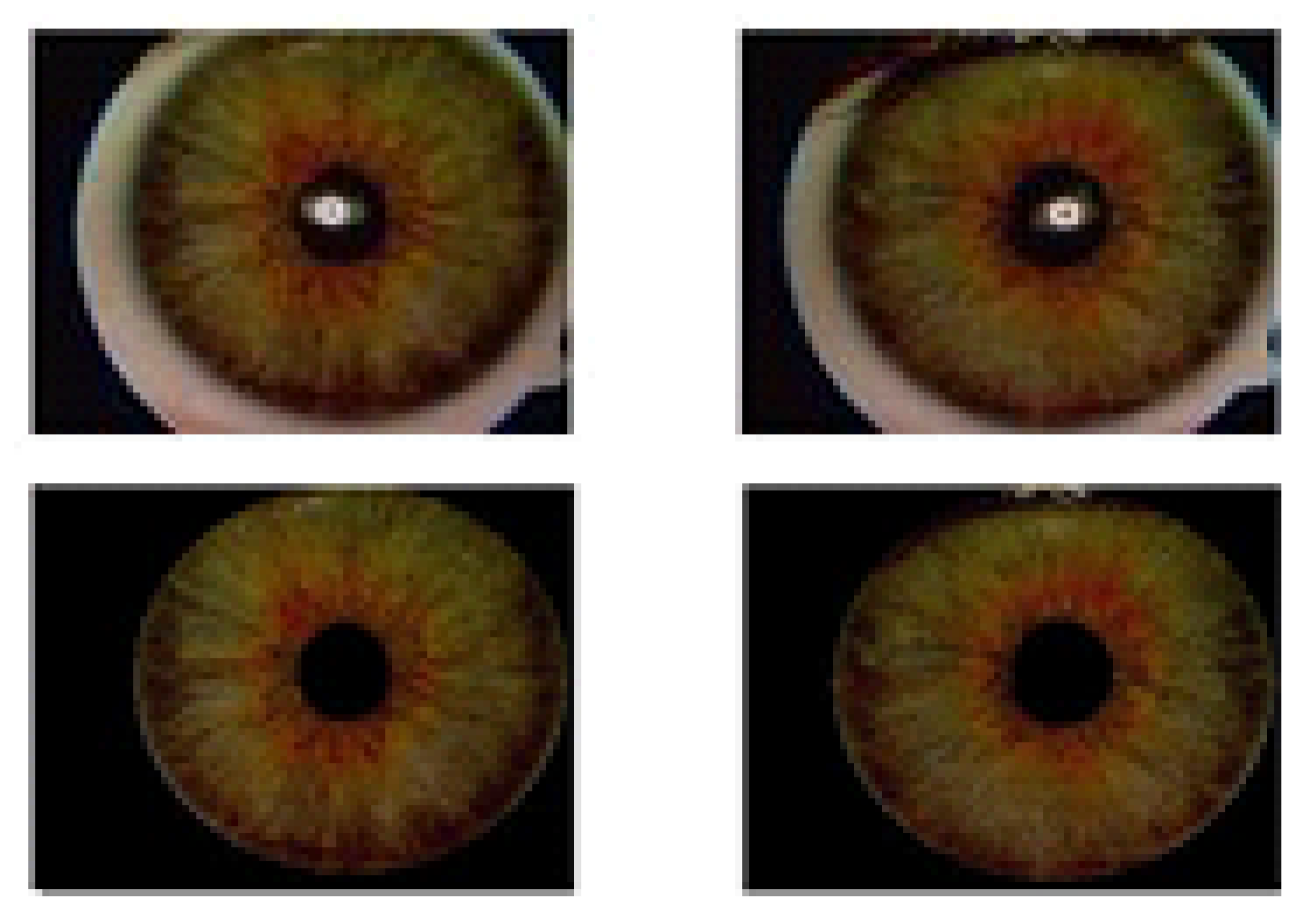 Information 11 00393 g002 Information 11 00393 g002