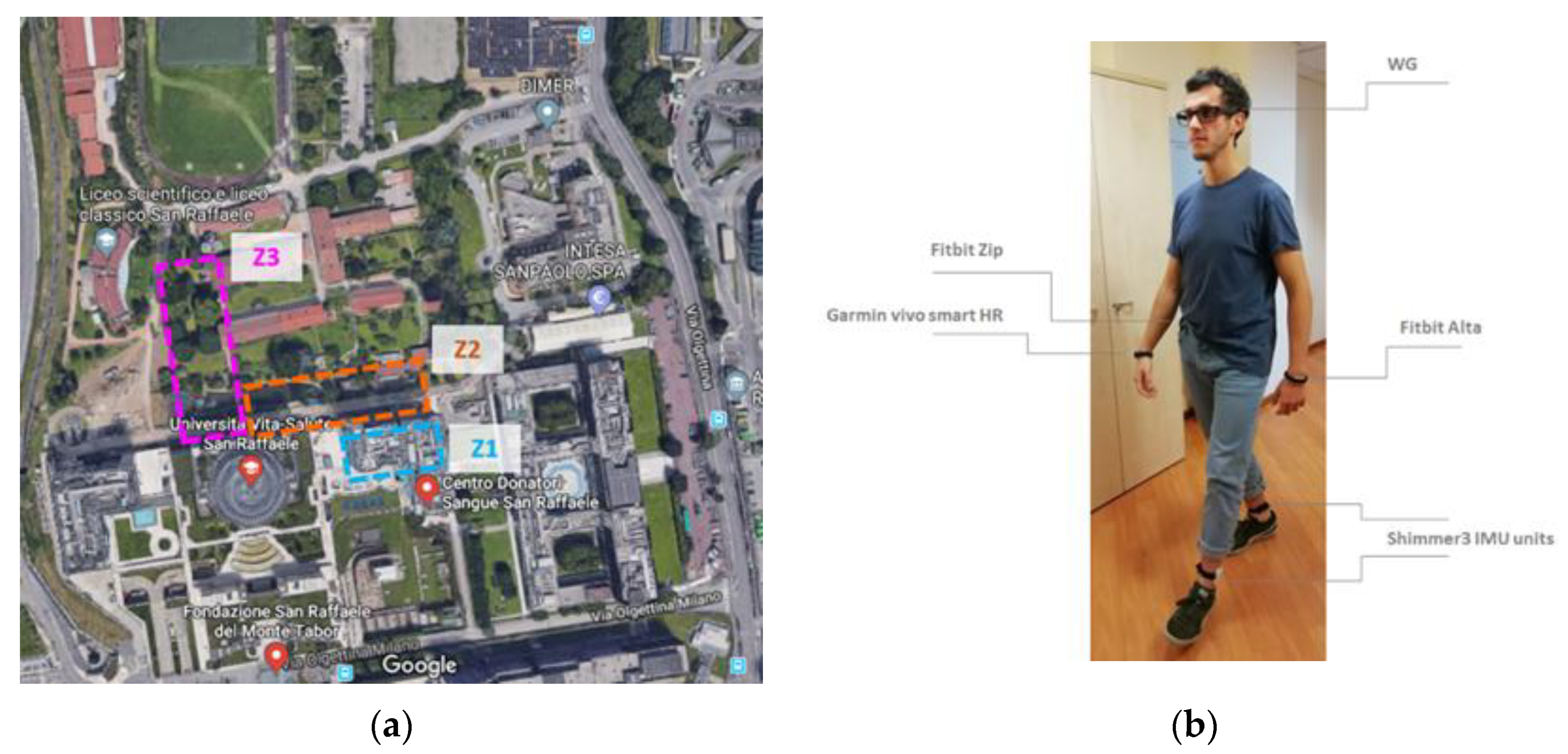 Information 11 00404 g003 Information 11 00404 g003