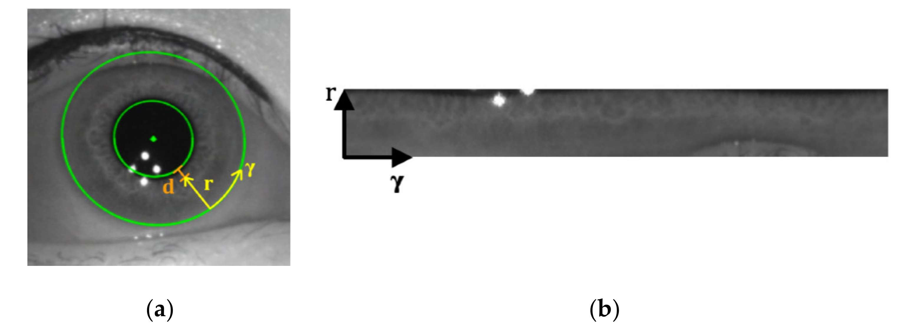 Information 11 00408 g005