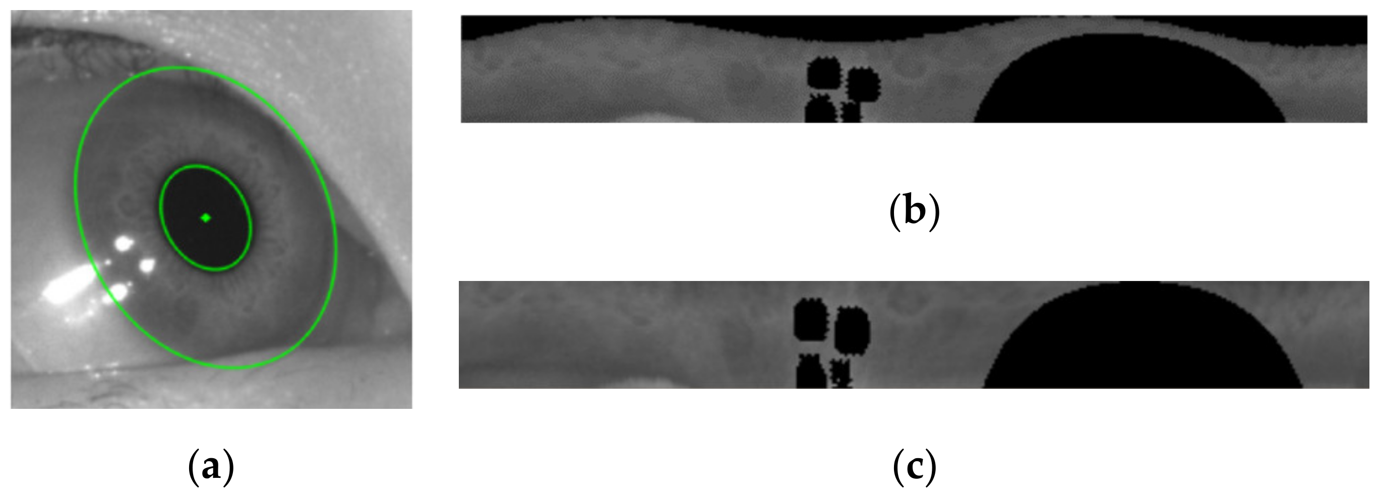 Information 11 00408 g006