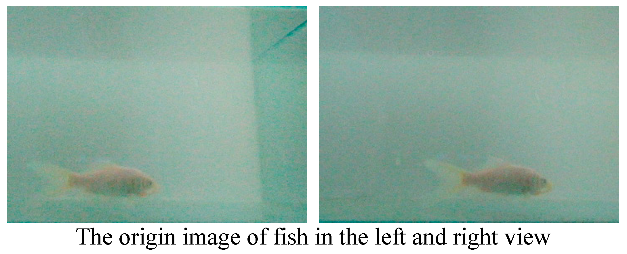 Information 11 00476 g017a