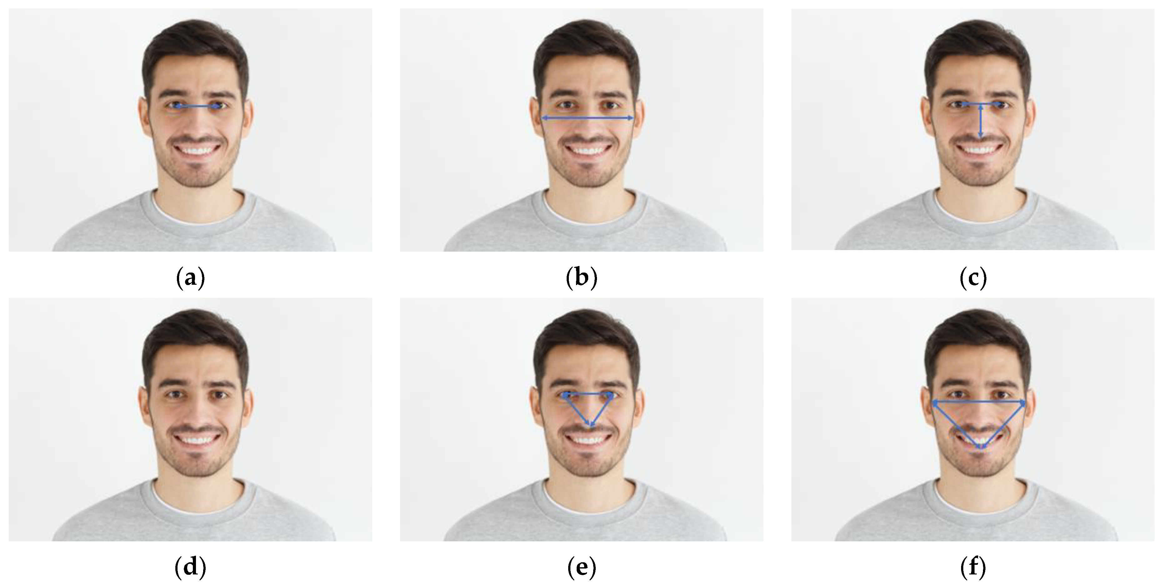 Information 11 00485 g005