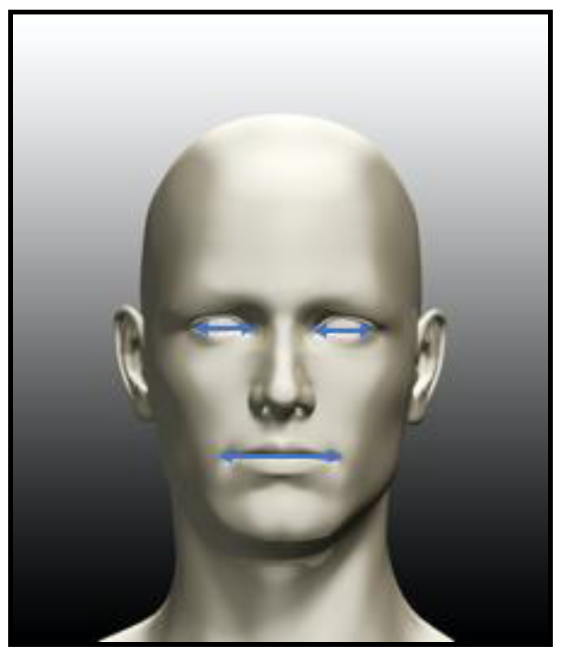 Information 11 00485 g006