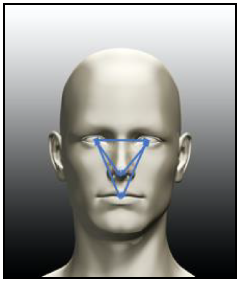 Information 11 00485 g007