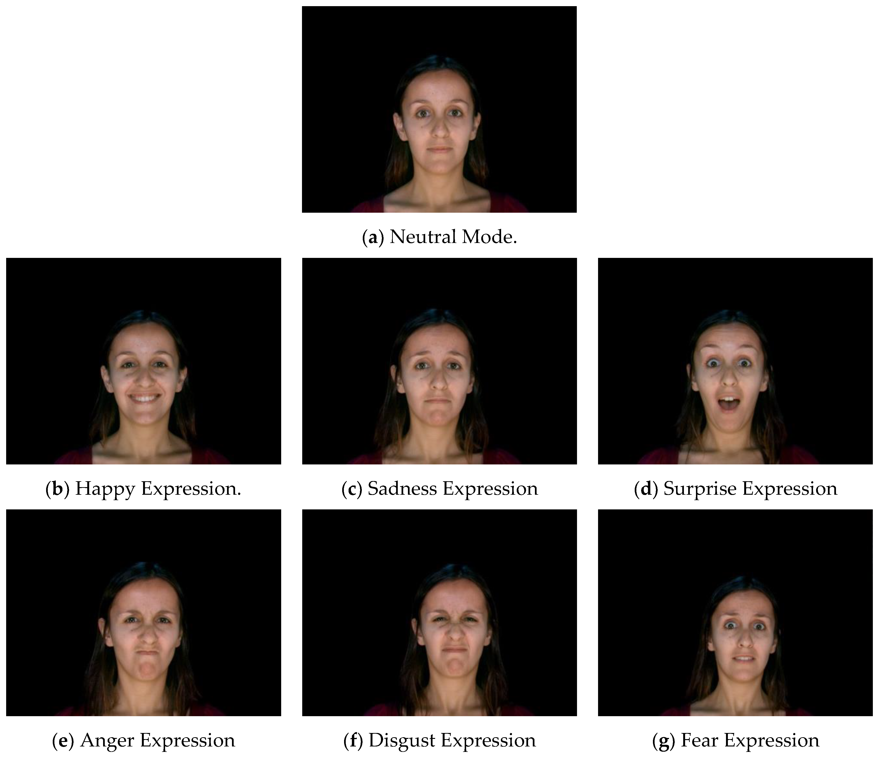 Information 11 00485 g010