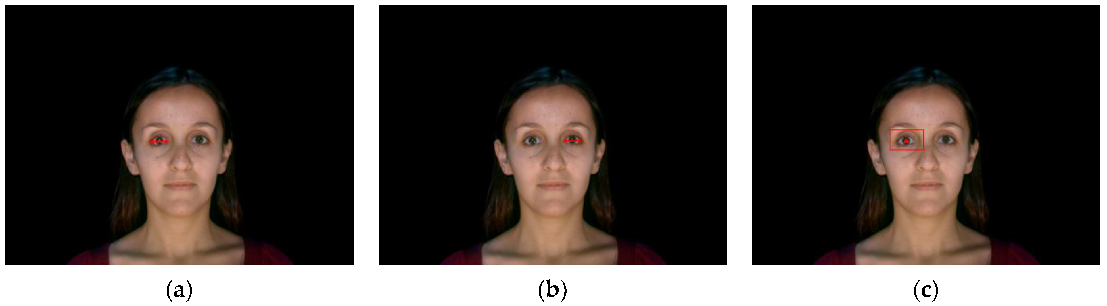 Information 11 00485 g013a