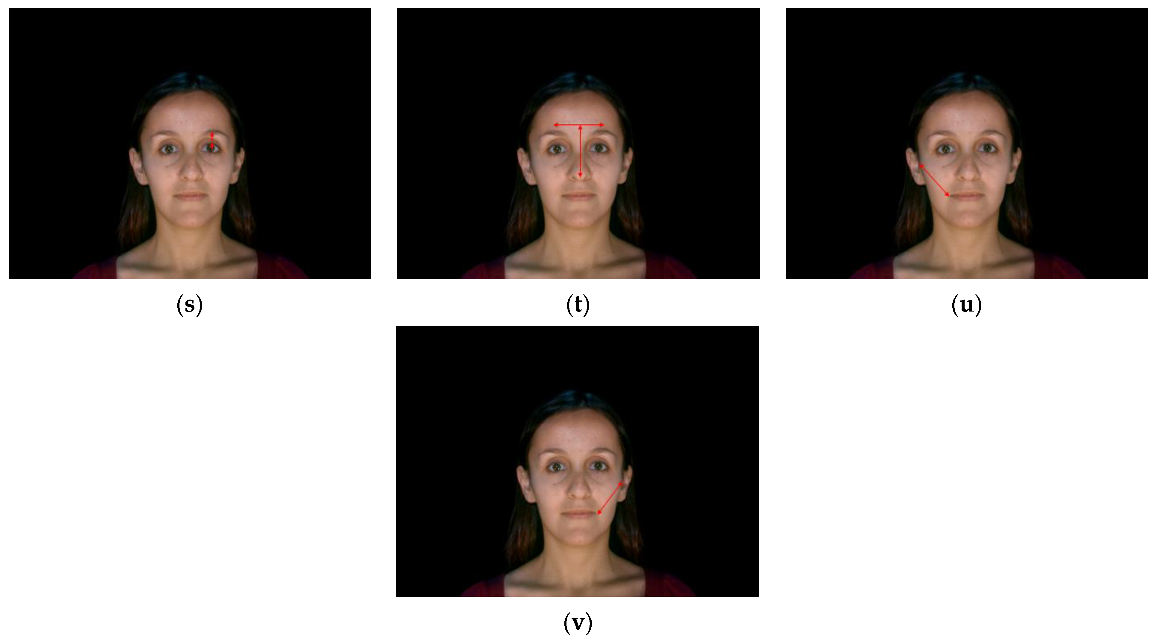 Information 11 00485 g013c