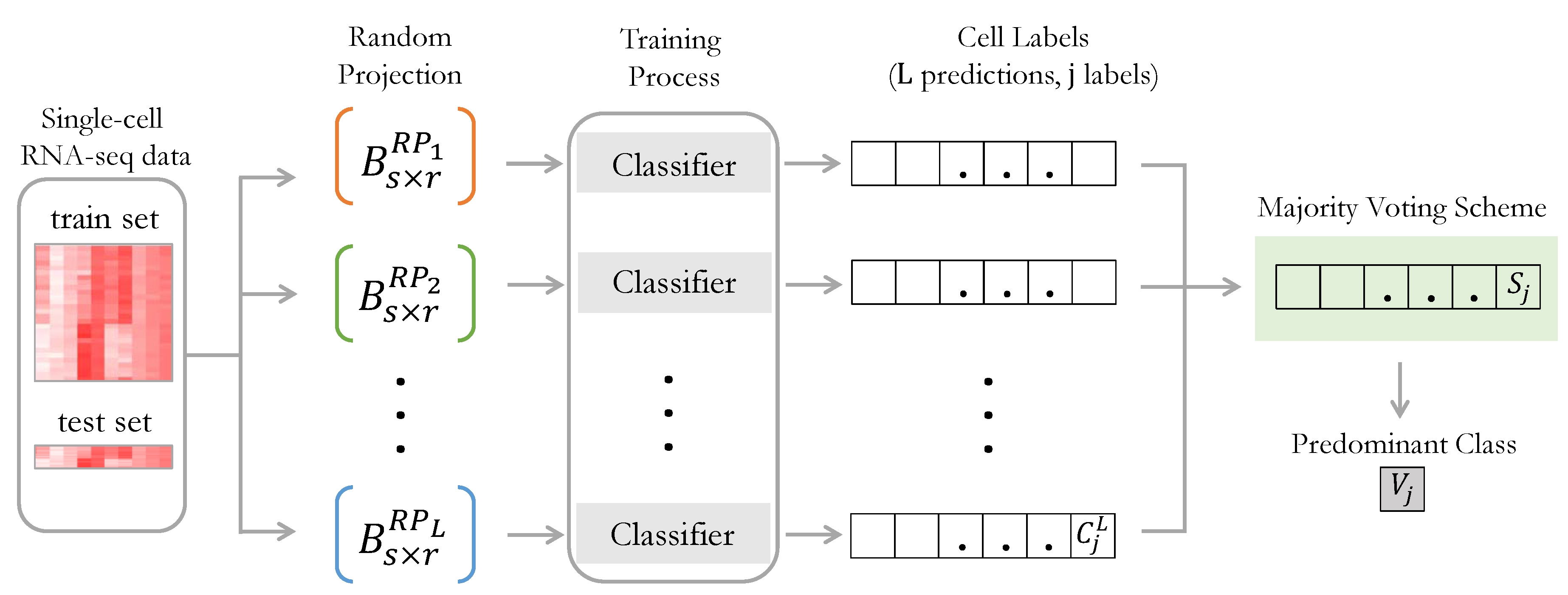 Ensemble Classification through Random Projections for Single-Cell RNA ...