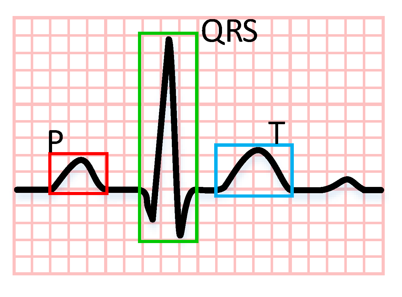 Information 11 00556 g001 Information 11 00556 g001