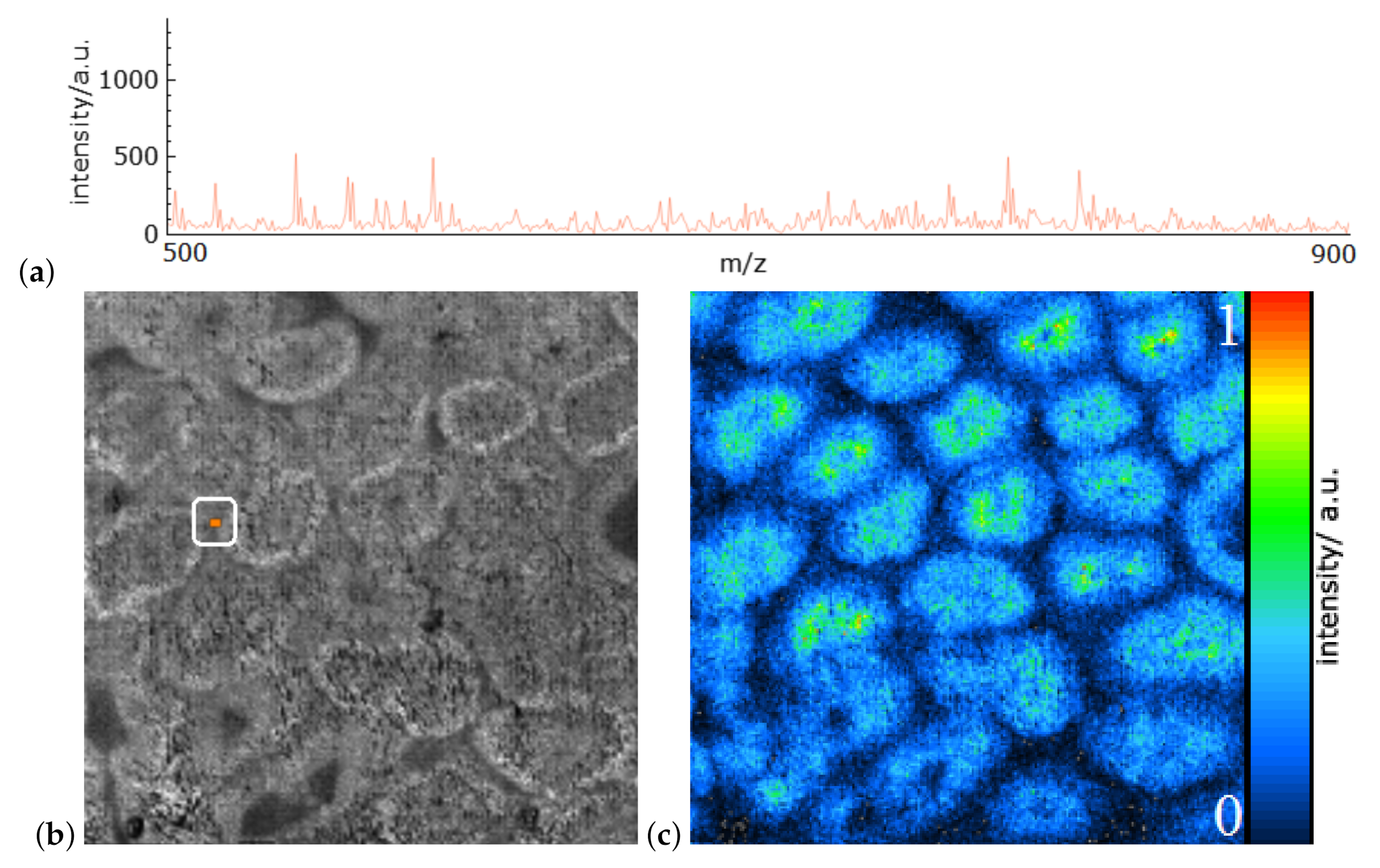 Information 11 00575 g001 Information 11 00575 g001