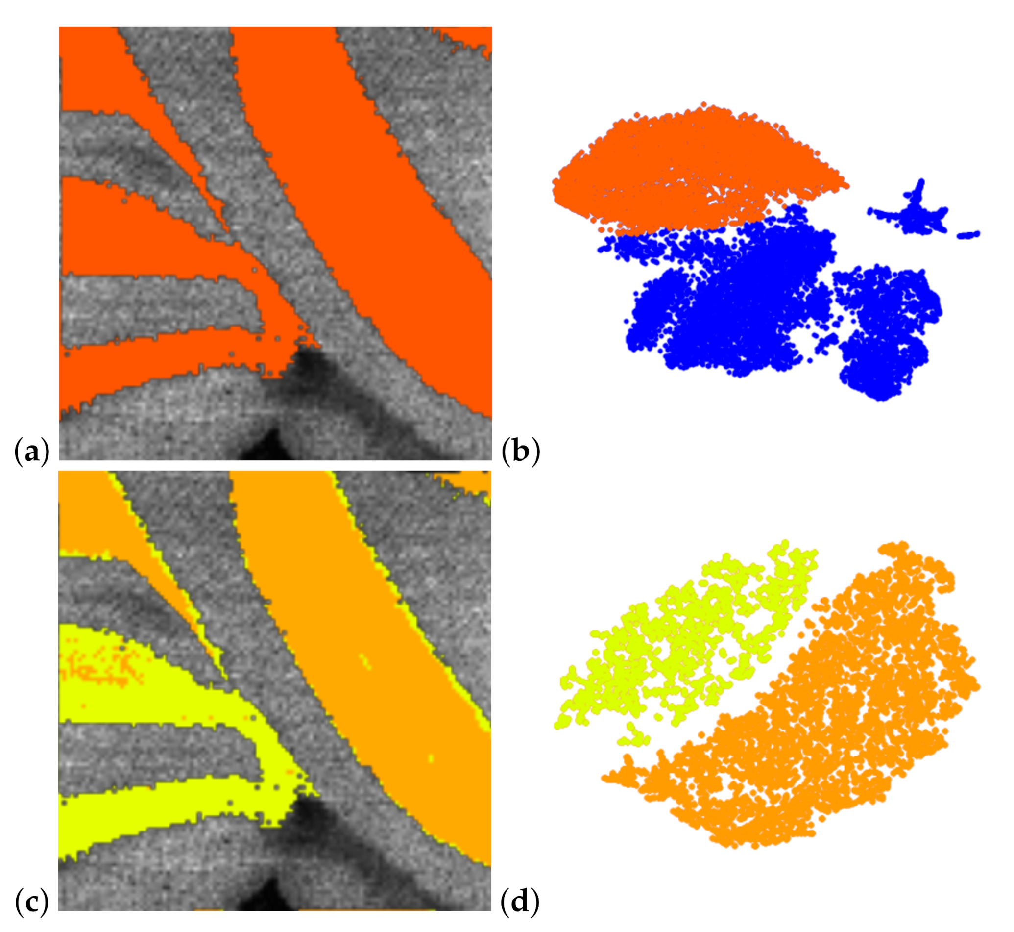 Information 11 00575 g003 Information 11 00575 g003