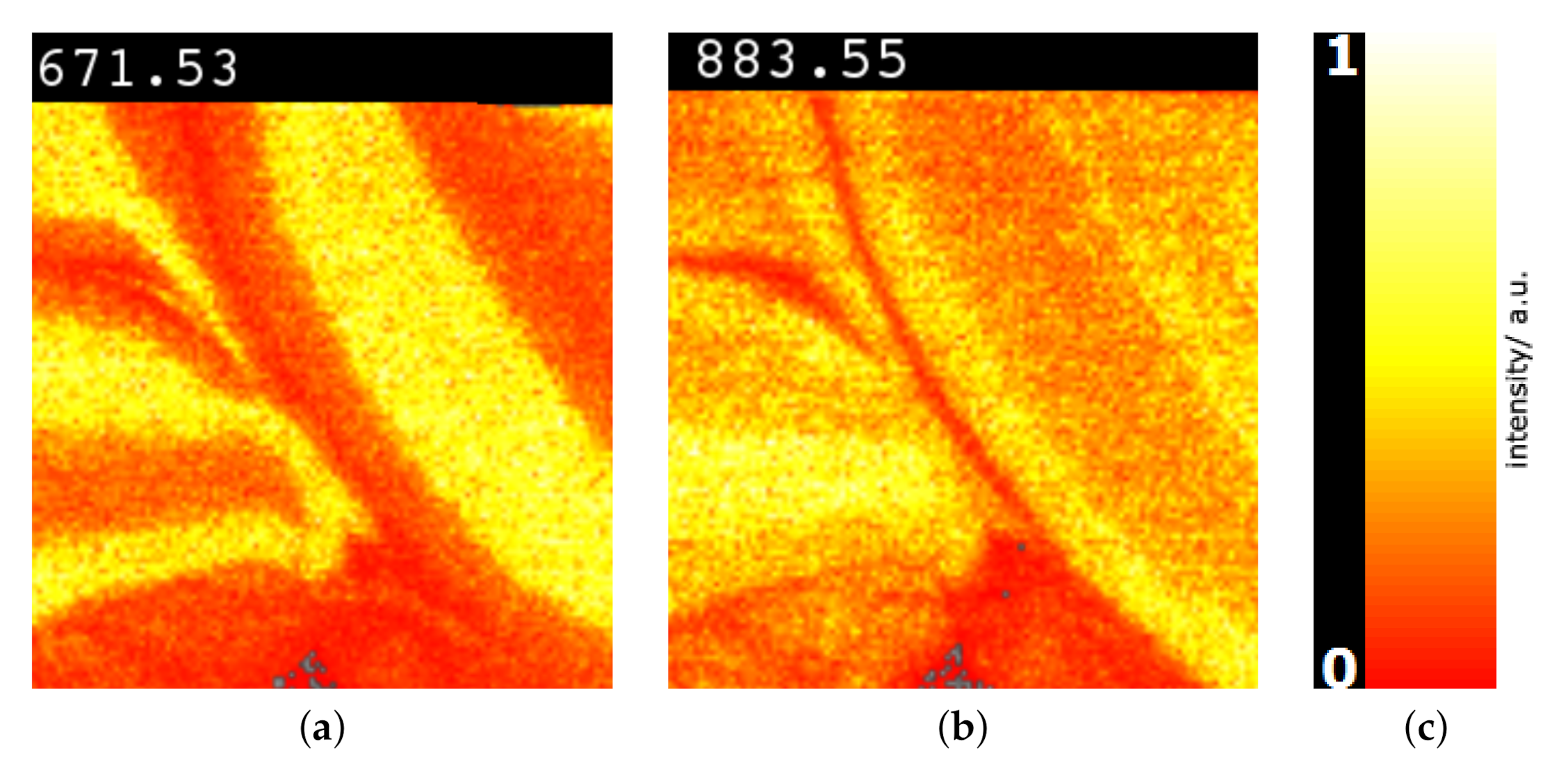 Information 11 00575 g010 Information 11 00575 g010