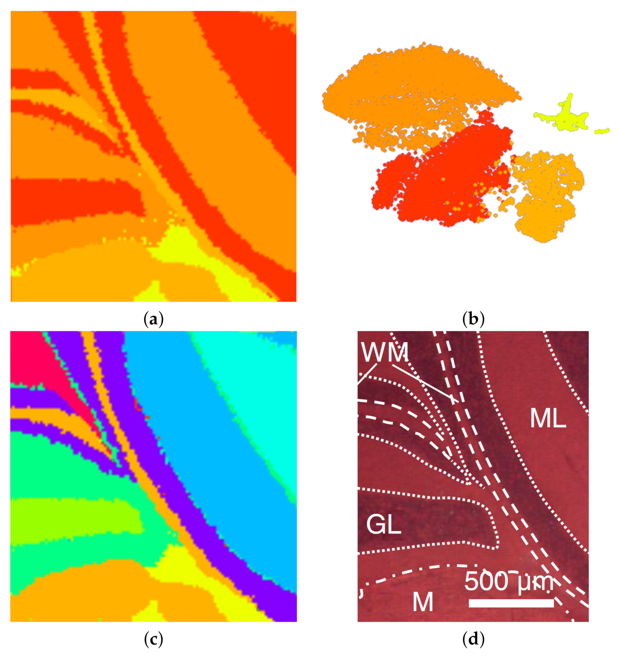 Information 11 00575 g011 Information 11 00575 g011