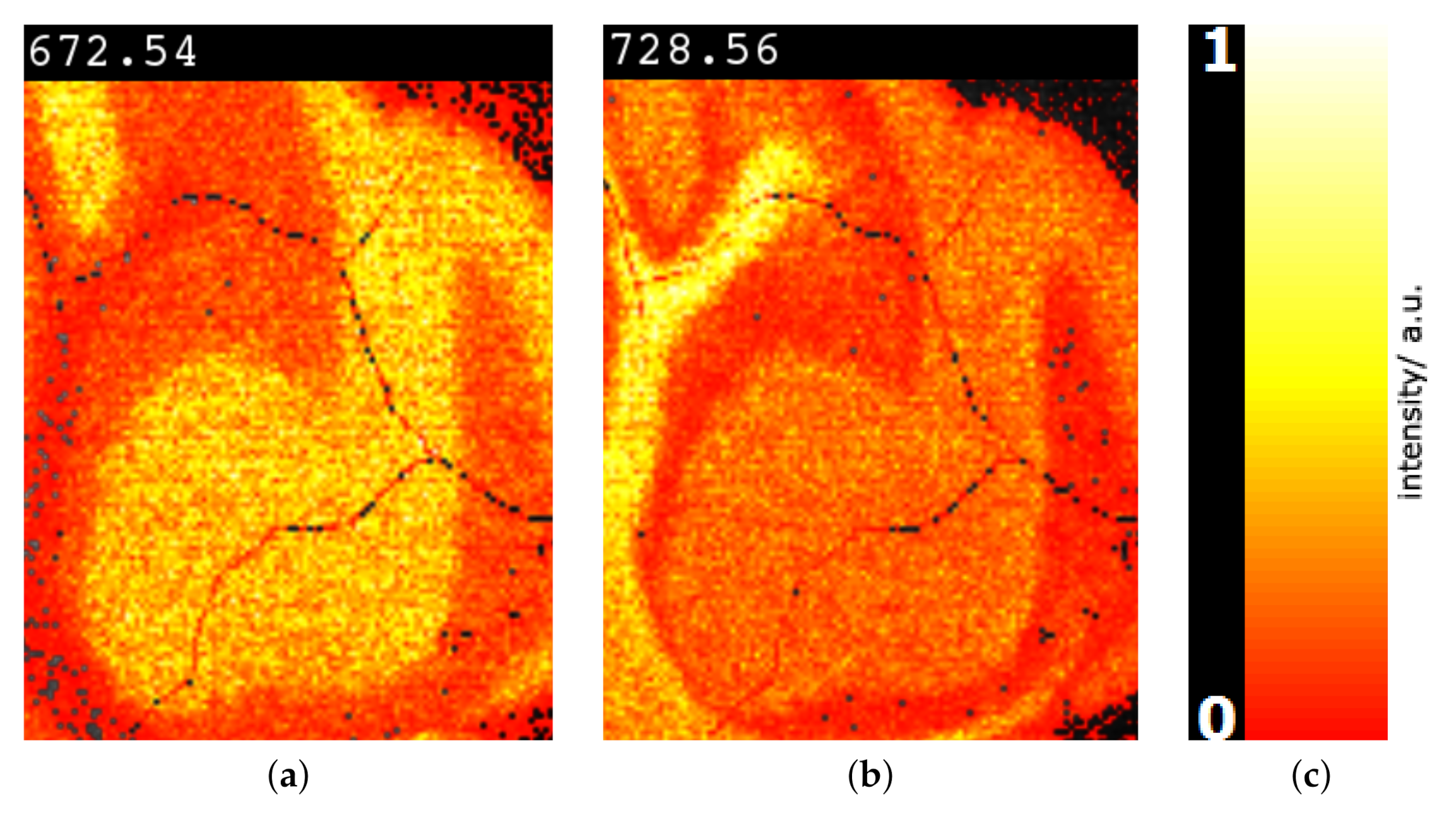 Information 11 00575 g015 Information 11 00575 g015