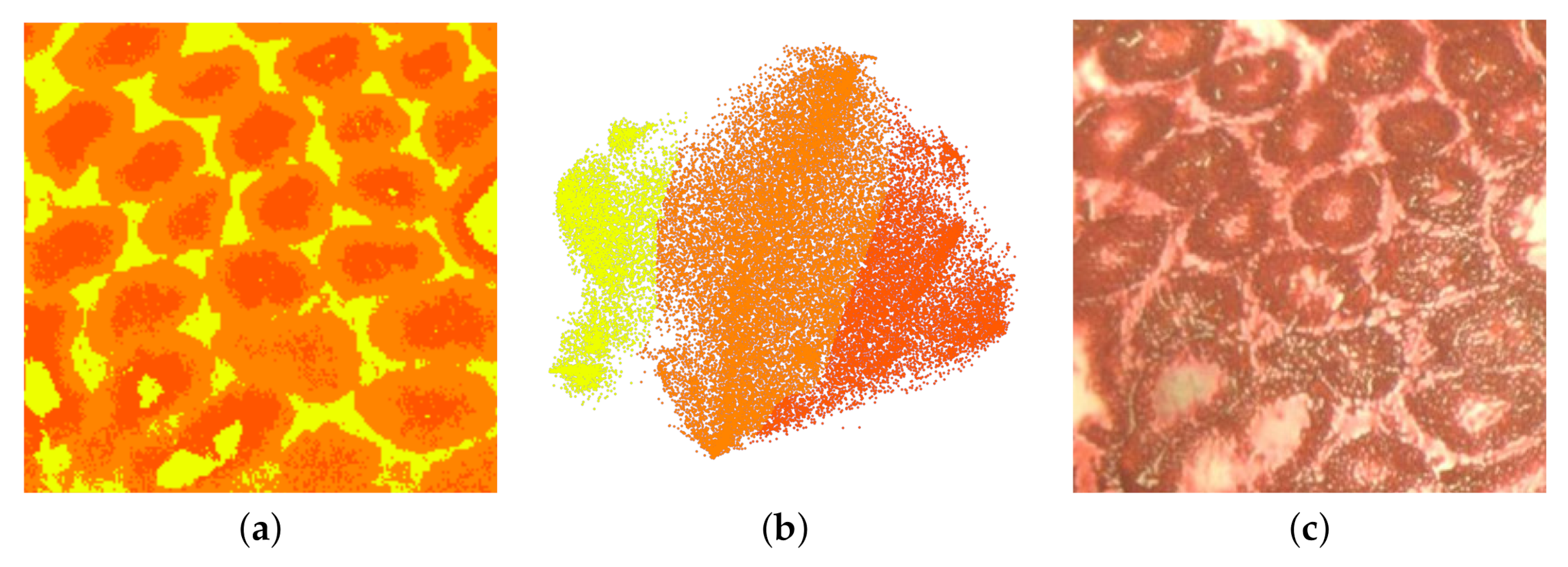 Information 11 00575 g016 Information 11 00575 g016