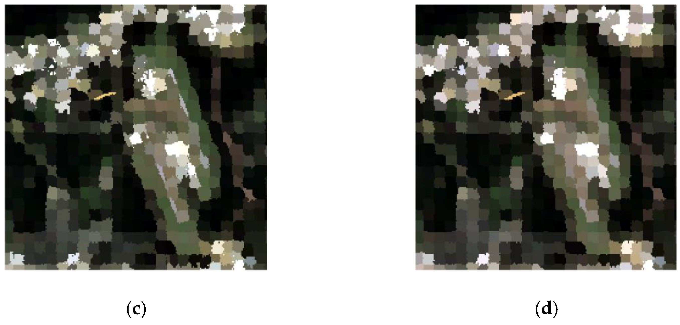 Information 12 00094 g008b