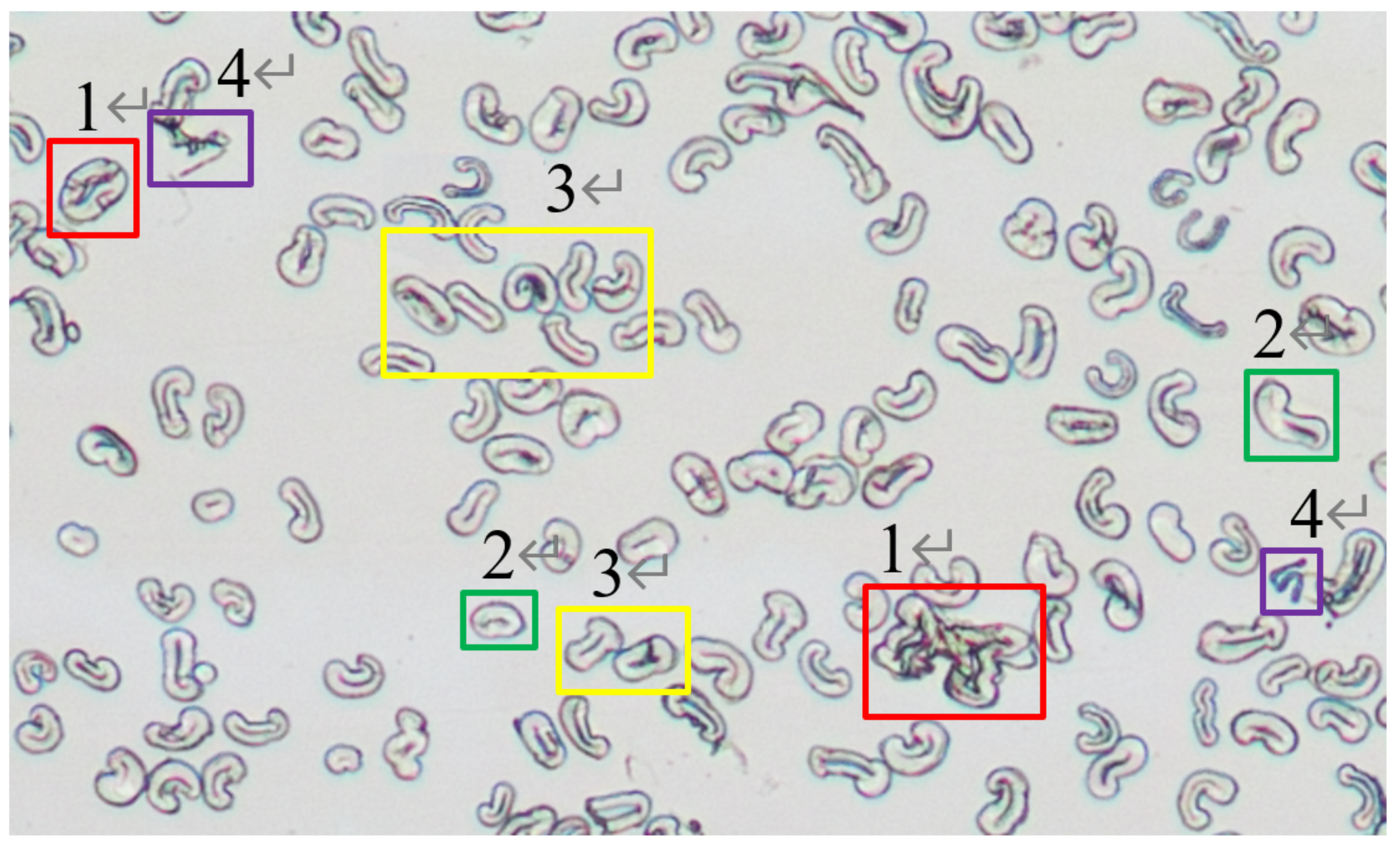 Information 12 00196 g001