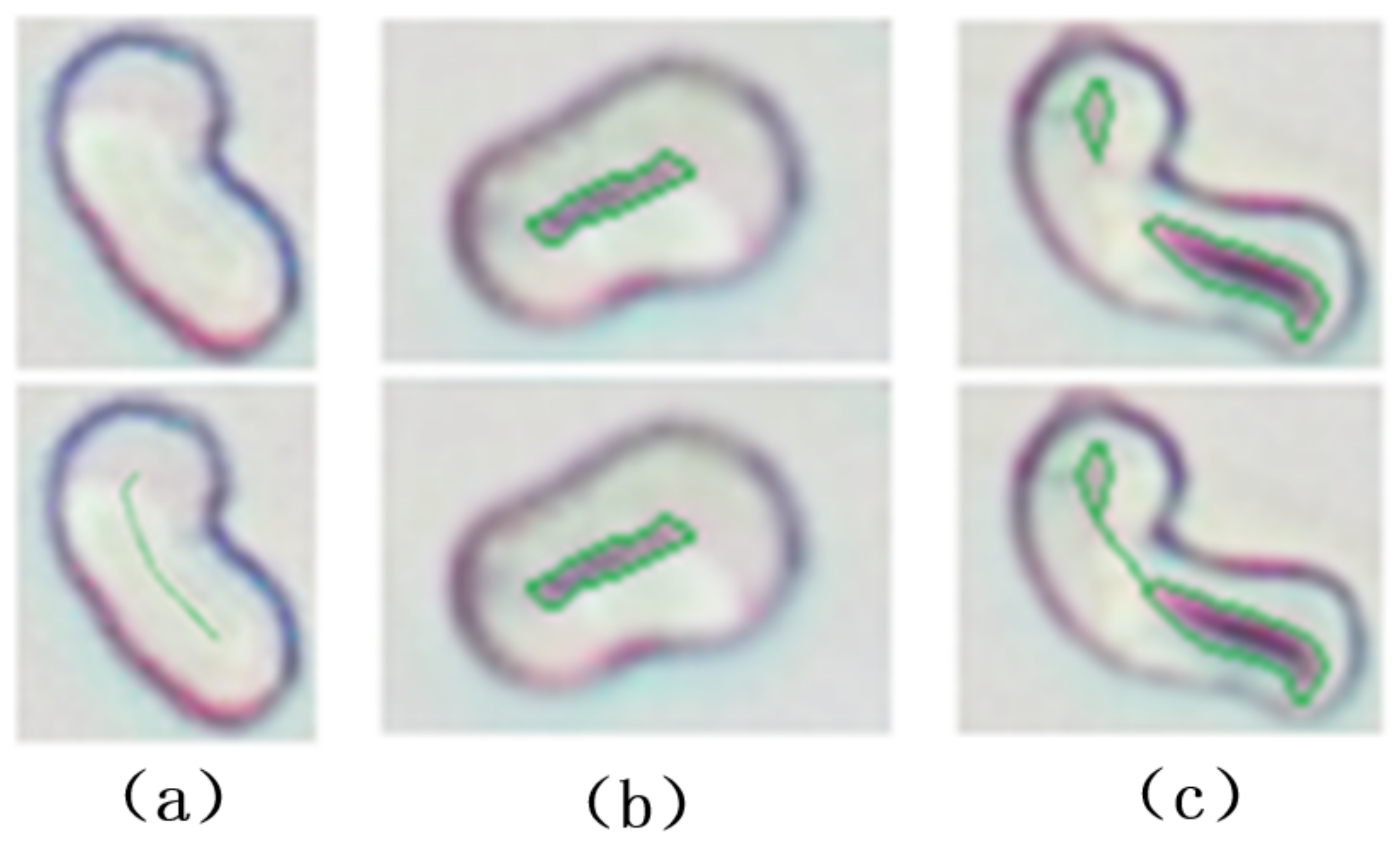 Information 12 00196 g003