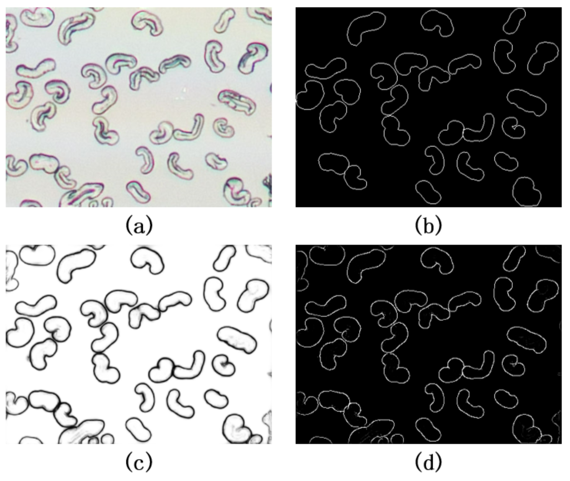 Information 12 00196 g006