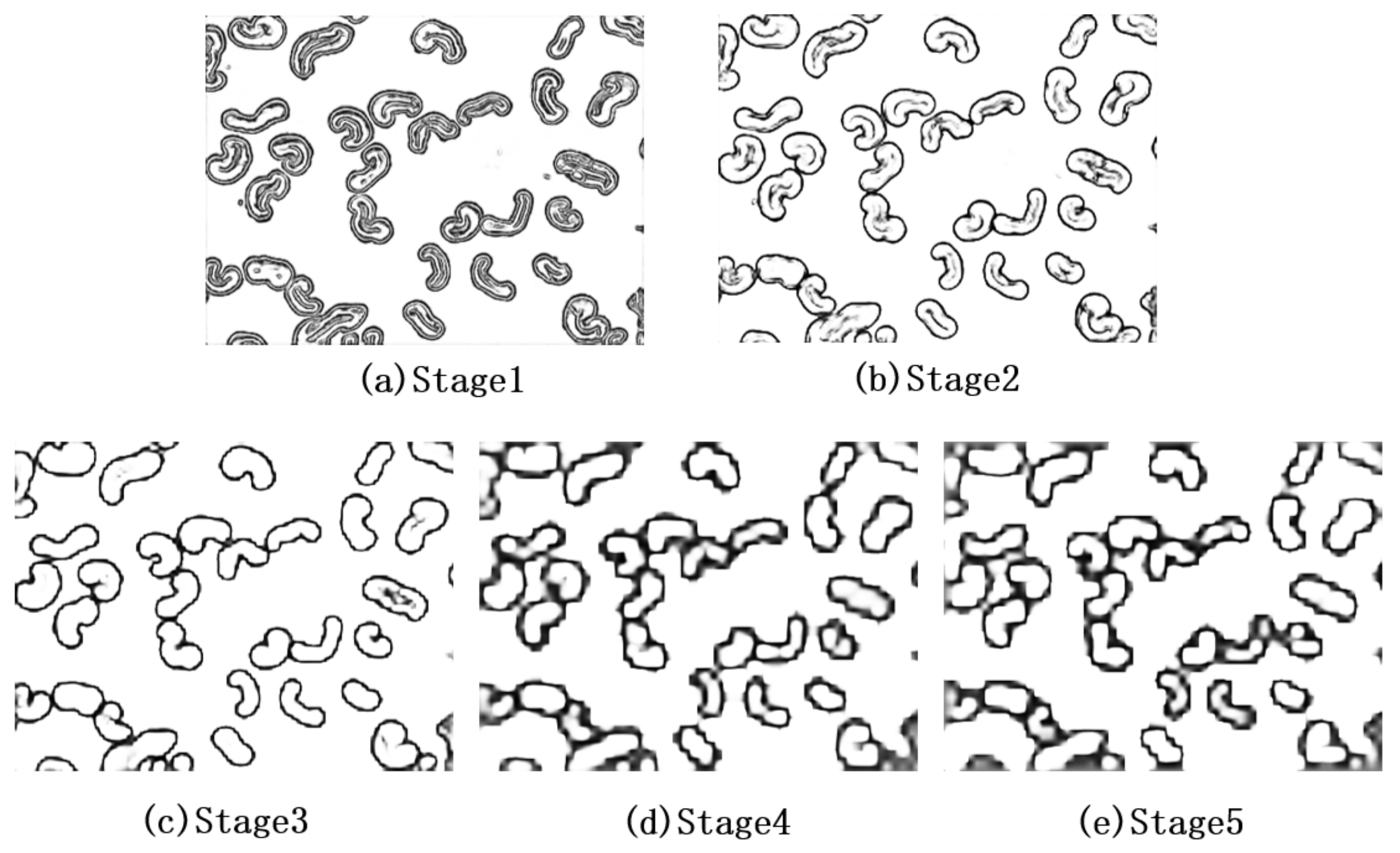 Information 12 00196 g007