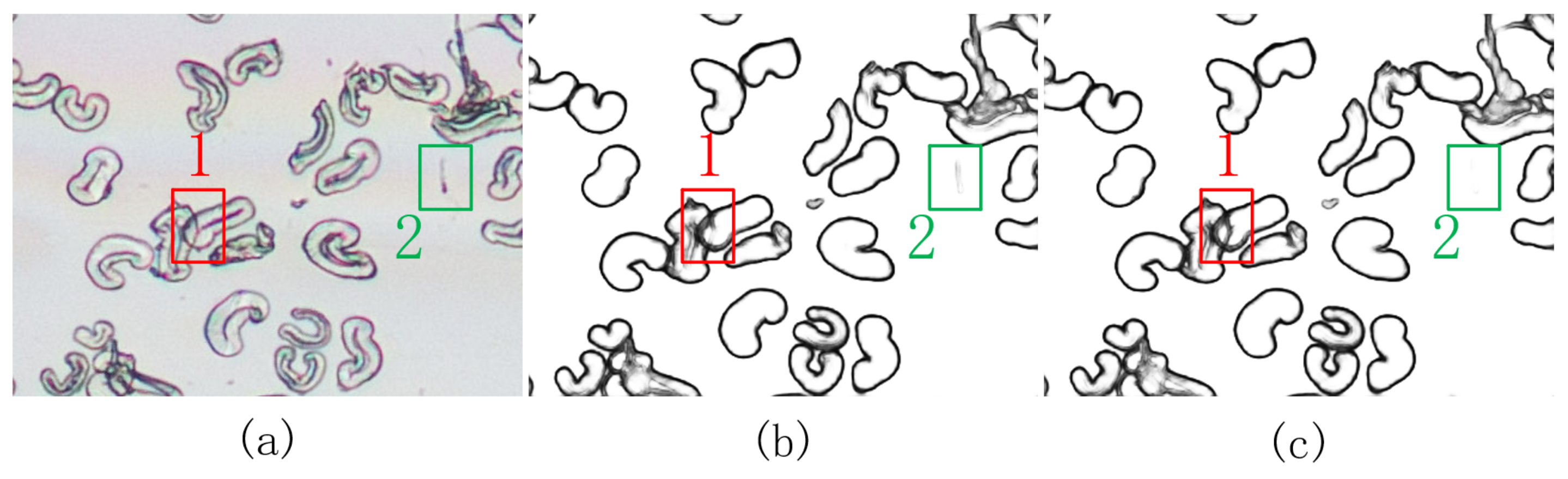 Information 12 00196 g010