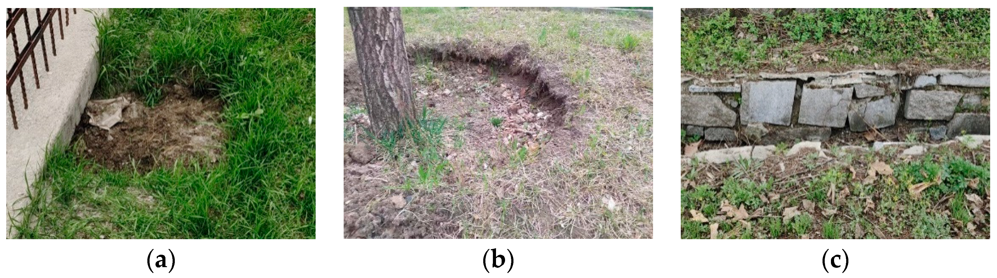 Information 12 00235 g014